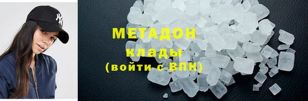 прущие грибы Горняк