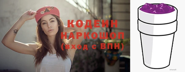 прущие грибы Горняк