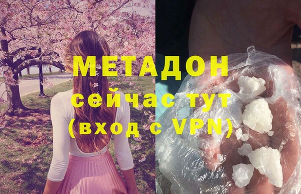 прущие грибы Гусь-Хрустальный
