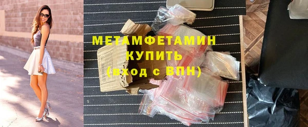 прущие грибы Горняк