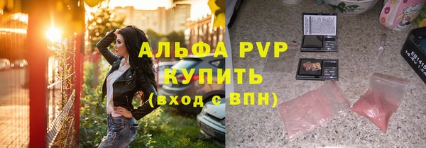 прущие грибы Горняк