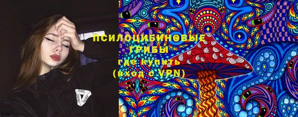 мет Гусев