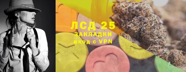 прущие грибы Гусь-Хрустальный